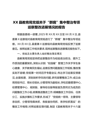XX县教育局党组关于“群腐”集中整治专项巡察整改进展情况的报告