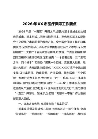 2026年XX市医疗保障工作要点