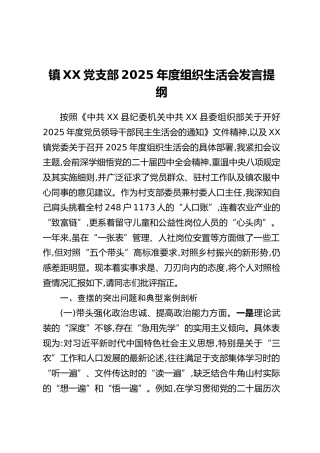镇XX党支部2025年度组织生活会发言提纲
