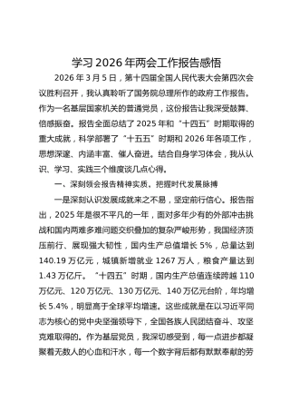 学习2026年两会工作报告感悟