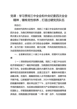 党课：学习贯彻党的二十届三中全会和中央纪委四次全会精神，锤炼党性修养，打造过硬党员队伍