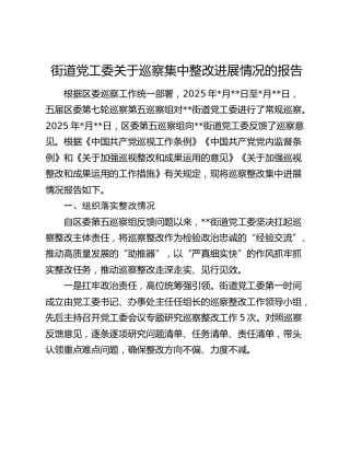 街道党工委关于巡察集中整改进展情况的报告