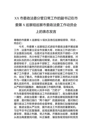 XX市委政法委分管日常工作的副书记在市委第X巡察组巡察市委政法委工作动员会上的表态发言