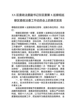 XX区委政法委副书记在区委第X巡察组巡察区委政法委工作动员会上的表态发言