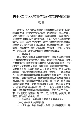 关于XX市XX村集体经济发展情况的调研报告