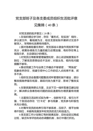 党支部班子及各支委成员组织生活批评意见集锦（40条）