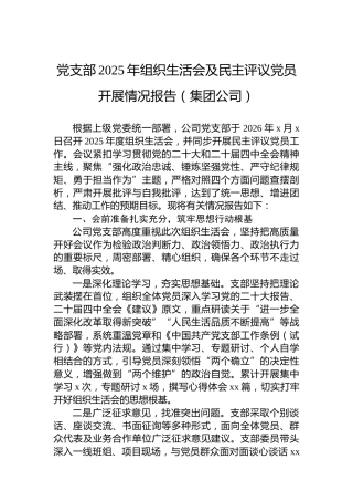 党支部2025年组织生活会及民主评议党员开展情况报告（集团公司）
