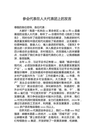 参会代表在人大代表团上的发言
