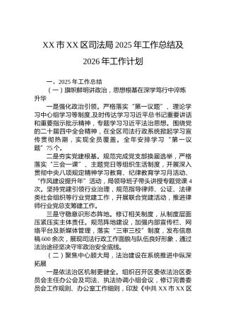 XX市XX区司法局2025年工作总结及2026年工作计划