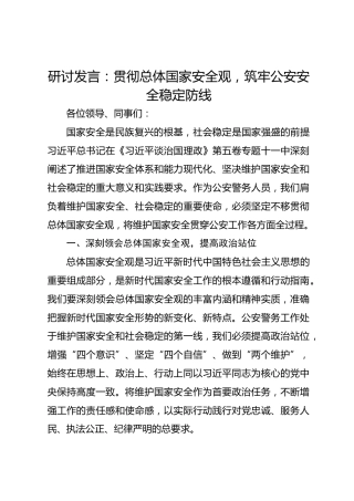 研讨发言：贯彻总体国家安全观，筑牢公安安全稳定防线