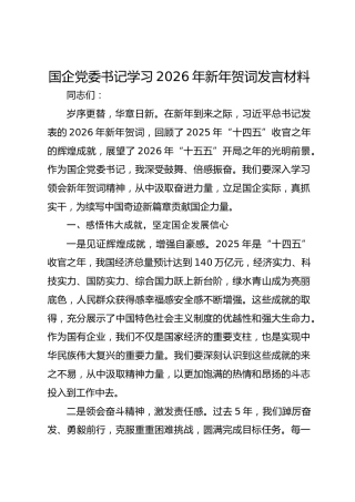 国企党委书记学习2026年新年贺词发言材料