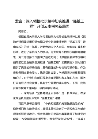 发言：深入领悟批示精神切实推进“强基工程”开创云南税务新局面