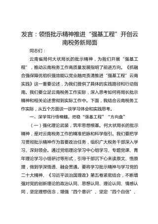 发言：领悟批示精神推进“强基工程”开创云南税务新局面