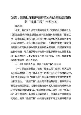 发言：领悟批示精神 践行党业融合 推动云南税务“强基工程”走深走实