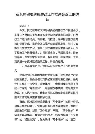 巡视整改工作推进会议上的讲话（文旅）