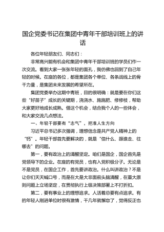 国企党委书记在中青年干部培训班上的讲话（公司）