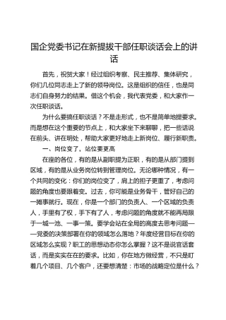 国企党委书记在新提拔干部任职谈话会上的讲话（公司）