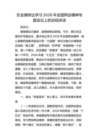 在传达学习2026年全国两会精神专题会议上的讲话7