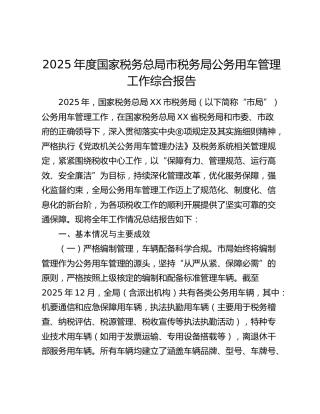 公务用车管理工作总结报告（税务）