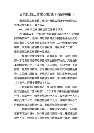 公司近年来纪检工作总结报告（报巡察组，问题剖析）