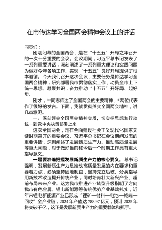 在市传达学习全国两会精神会议上的讲话