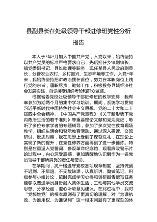 县副县长在处级领导干部进修班党性分析报告