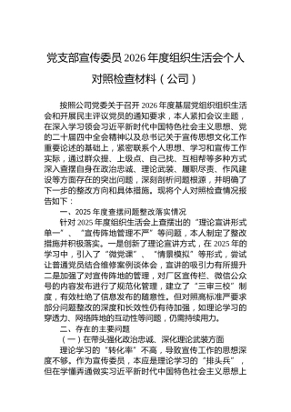 党支部宣传委员2026年度组织生活会个人对照检查材料（公司）