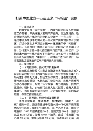 打造中国北方千万亩玉米“吨粮田”案例