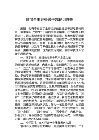 参加全市县处级干部轮训感悟