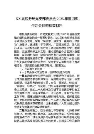 XX县税务局党支部委员会2025年度组织生活会对照检查材料