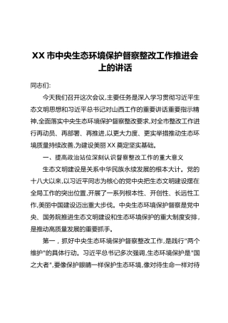 XX市中央生态环境保护督察整改工作推进会上的讲话