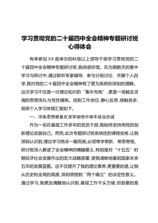 学习贯彻党的二十届四中全会精神专题研讨班心得体会