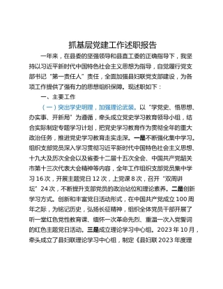 抓基层党建工作述职报告_4