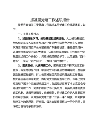 抓基层党建工作述职报告_3