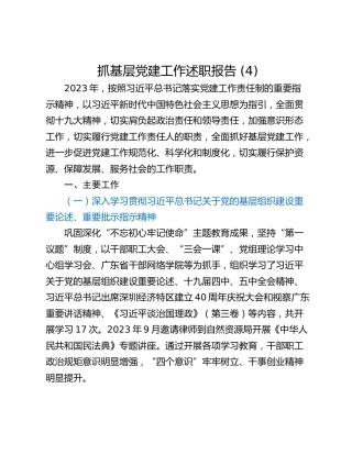 抓基层党建工作述职报告 (17)