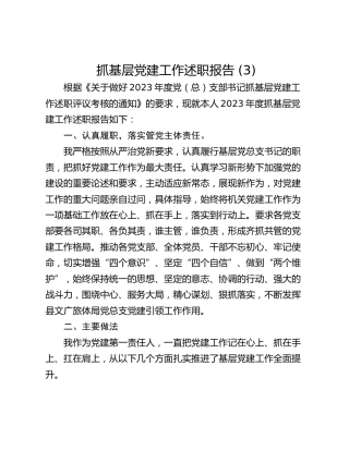 抓基层党建工作述职报告 (16)