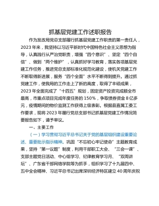 抓基层党建工作述职报告 (14)