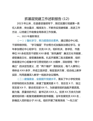 抓基层党建工作述职报告 (12)