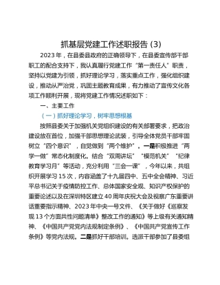 抓基层党建工作述职报告 (9)_1