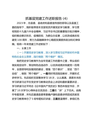 抓基层党建工作述职报告 (6)_2