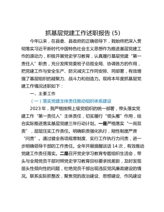 抓基层党建工作述职报告 (5)_2