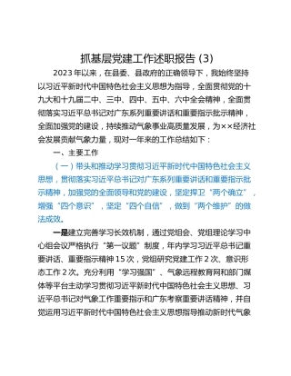 抓基层党建工作述职报告 (3)_3
