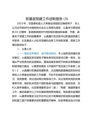 抓基层党建工作述职报告 (3)_2