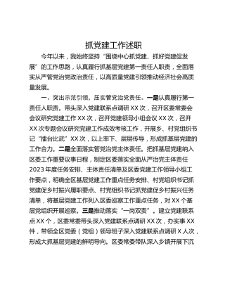 抓党建工作述职