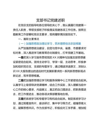支部书记党建述职