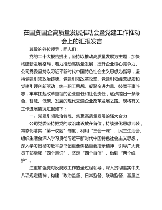 在国资国企高质量发展推动会暨党建工作推动会上的汇报发言 (2)