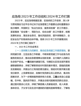 应急局2023年工作总结和2024年工作打算