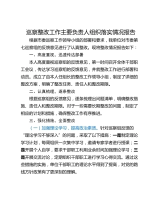巡察整改工作主要负责人组织落实情况报告