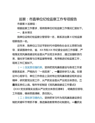 巡察：市直单位纪检监察工作专项报告