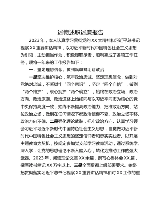 述德述职述廉报告